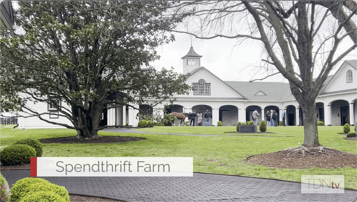 Visiting Horse Country Tours: Spendthrift Farm